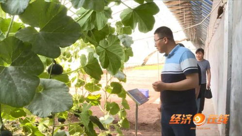最美科技工作者 砥志研思的邱鵬程，信息技術(shù)領(lǐng)域的技術(shù)開發(fā)先鋒