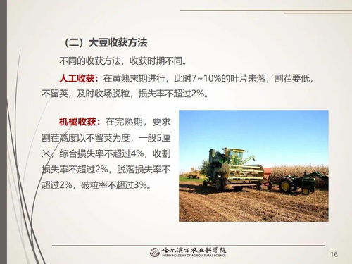 黨建引領謀發(fā)展 科技助農備春耕 網絡課堂 大豆生產百問百答
